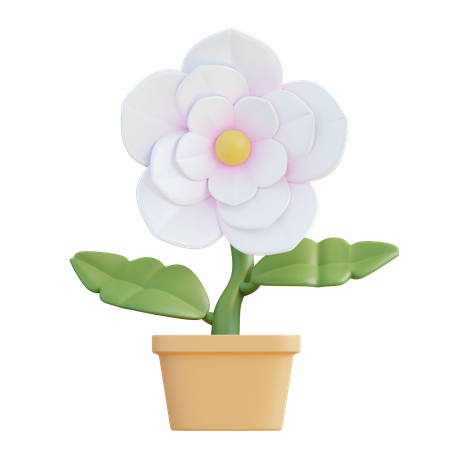 Flor de jazmín  3D Icon