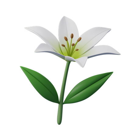 Flor de lirio  3D Icon