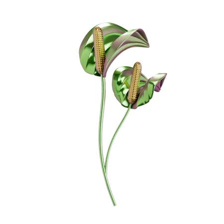 Flor del lirio  3D Icon