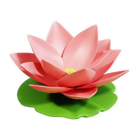 Flor de loto  3D Icon