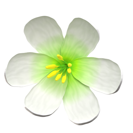 Flor de loto blanco  3D Icon