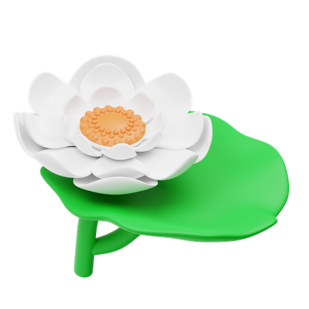 Flor de loto blanco  3D Icon