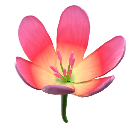 Flor de loto rosa  3D Icon