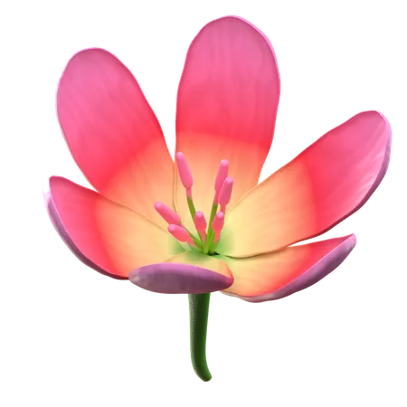 Flor de loto rosa  3D Icon
