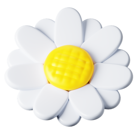 Margarita  3D Icon