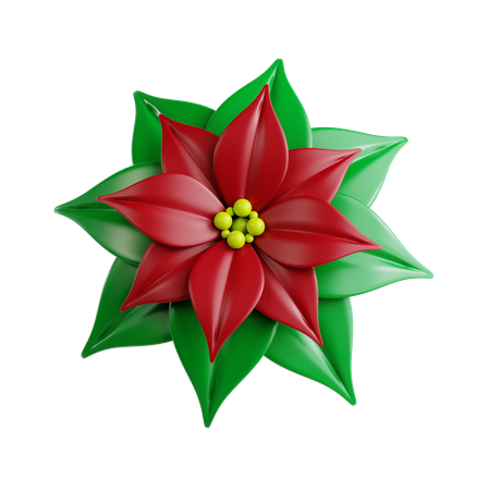 Flor de pascua  3D Icon