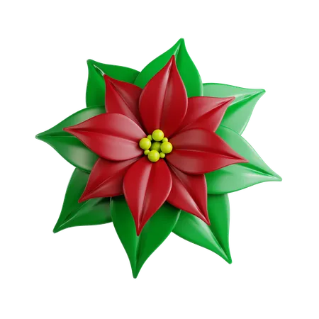 Flor de pascua  3D Icon