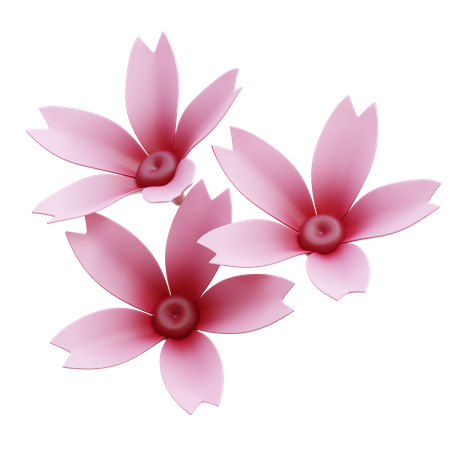 Flor de sakura  3D Icon