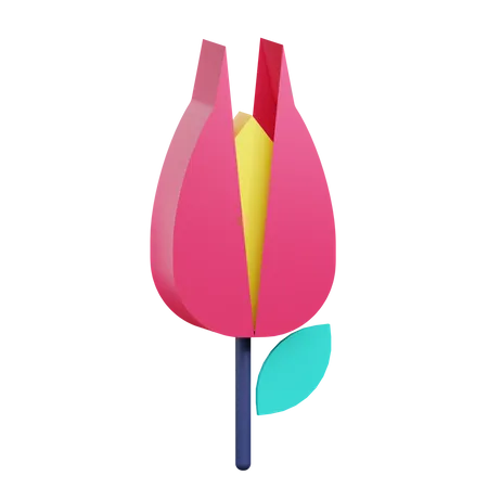 Ilustracion 3 D De Flores De Tulipan Sobre Un Fondo Transparente 3D Icon