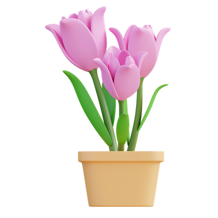 Flor de tulipán  3D Icon