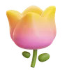 flor de tulipán rosa