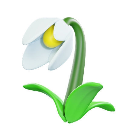 Flor floco de neve  3D Icon