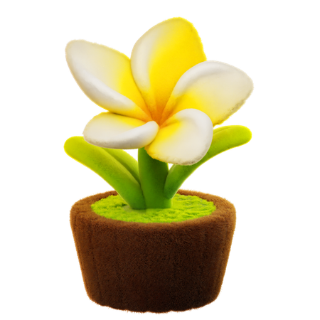 Flor frangipani  3D Icon