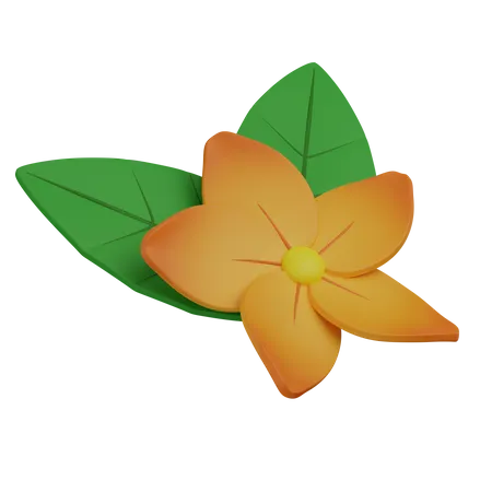 Flor havaiana  3D Icon