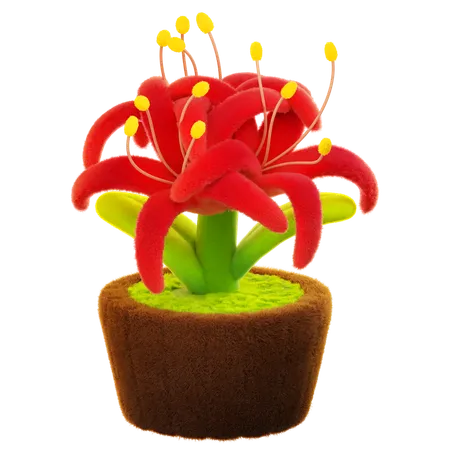 Flor de lirio araña  3D Icon