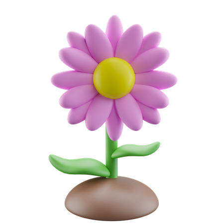 Flor de margarita rosa  3D Icon