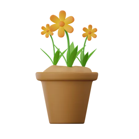 Flor de narciso  3D Icon