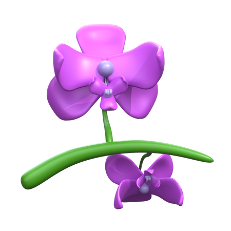 Orquídea  3D Icon