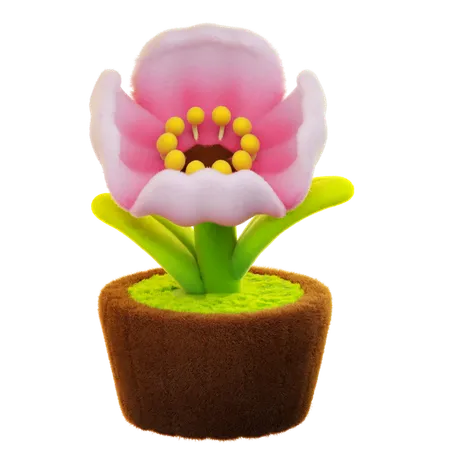 Flor de papoula  3D Icon