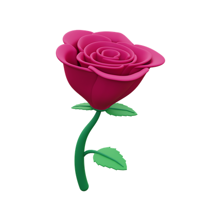 Flor rosa  3D Icon