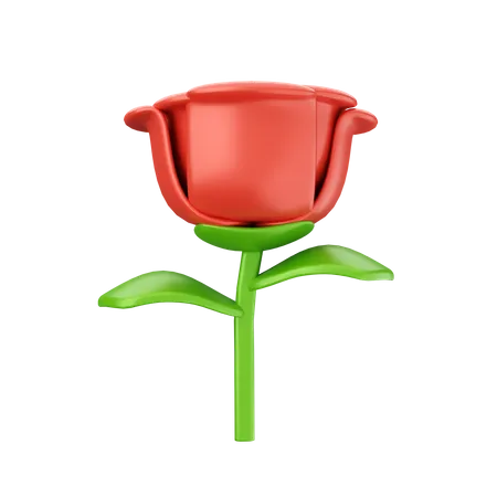 Flor rosa  3D Icon