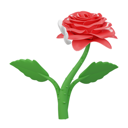 Flor rosa  3D Icon