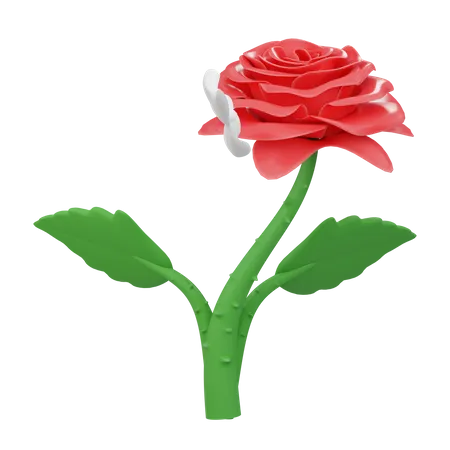 Flor rosa  3D Icon