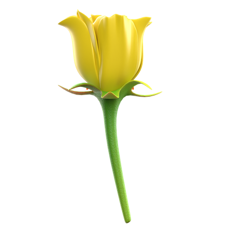 Flor rosa amarela  3D Icon
