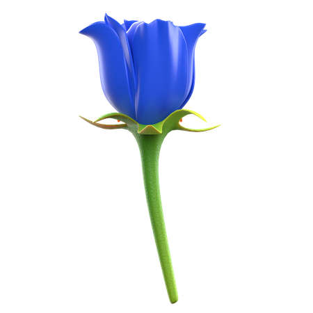 Flor rosa azul  3D Icon