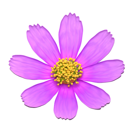 Flor roxa do cosmos  3D Icon