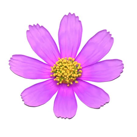 Flor roxa do cosmos  3D Icon