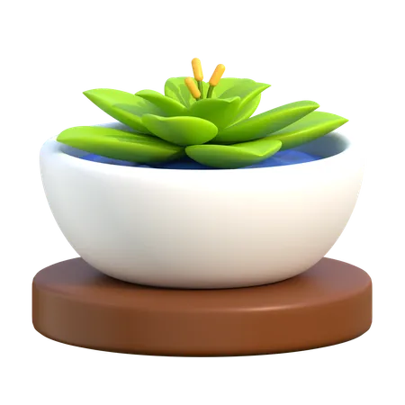 Spa de flores  3D Icon