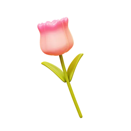 Flor tulipa  3D Icon