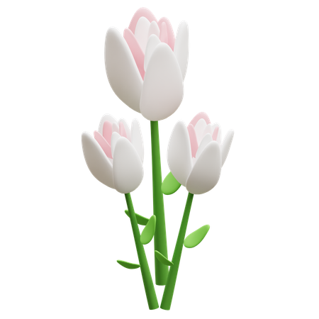 Flor tulipa  3D Icon