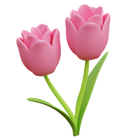 Flor tulipa  3D Icon