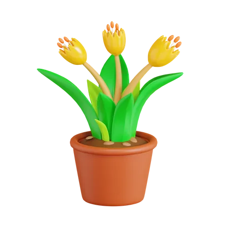 Flor tulipa  3D Icon