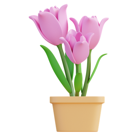 Flor tulipa  3D Icon