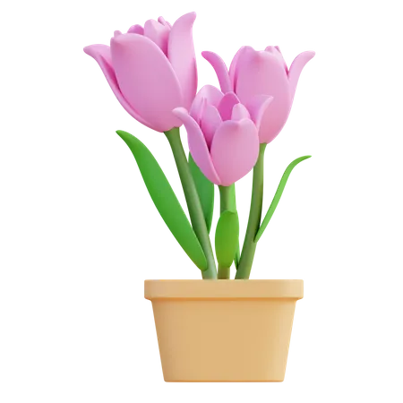 Flor tulipa  3D Icon