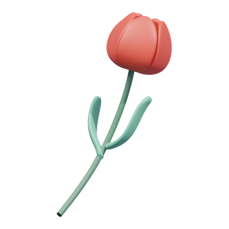 Flor de tulipa vermelha  3D Icon