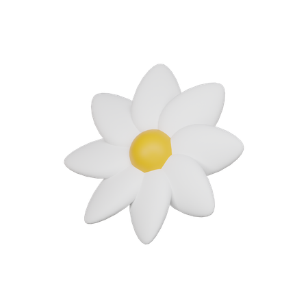 Flores  3D Icon