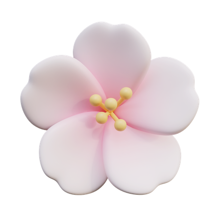 Flores de cerezo  3D Icon