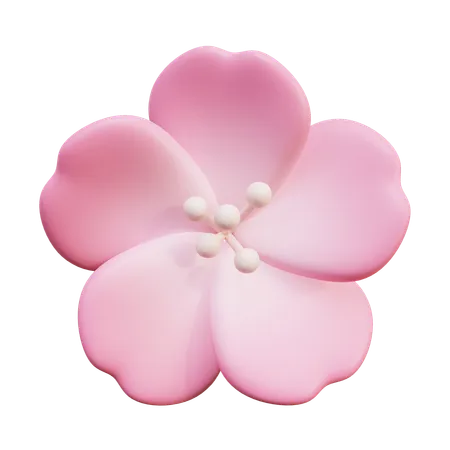 Flores de cerezo  3D Icon