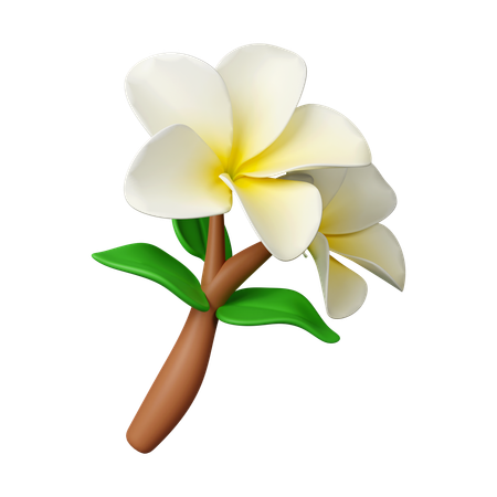 Flores de frangipani  3D Icon