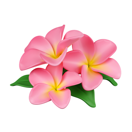 Flores de frangipani  3D Icon