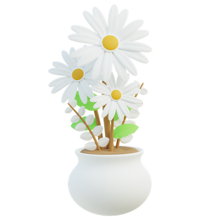 Flores de margarita blanca  3D Icon