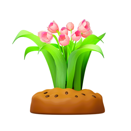 Flores de tulipanes  3D Icon