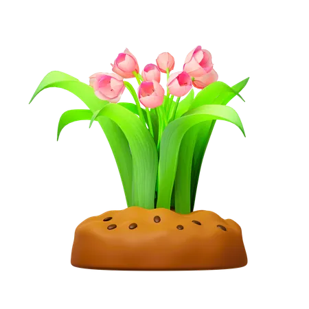 Flores de tulipanes  3D Icon