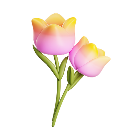 Flores de tulipanes  3D Icon