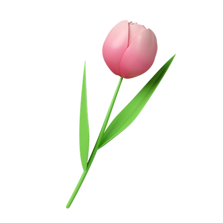 Flores de tulipanes  3D Icon