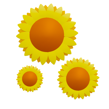 Flores do sol  3D Icon